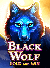 Black Wolf