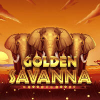 Golden Savanna