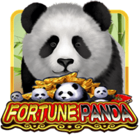 Fortune Panda
