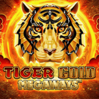 Tiger Gold