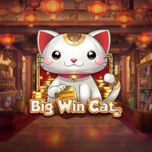 Big Win Cat